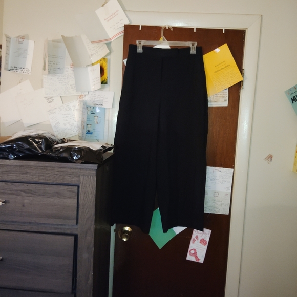 ZARA Wide Leg Pleated Pants - Small - Picture 3 of 10